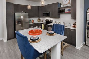 Atlanta GA Apartments with Luxury Kitchen with Dark Cabinetry